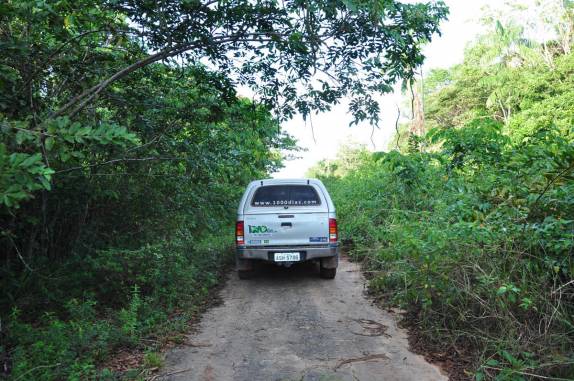 Aos poucos, a BR-319, a rodovia que liga Manaus à Porto Velho, vai ficando mais e mais estreita
